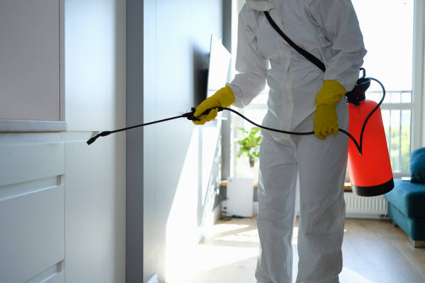 Best Kitchen Mold Remediation in Cashton, WI