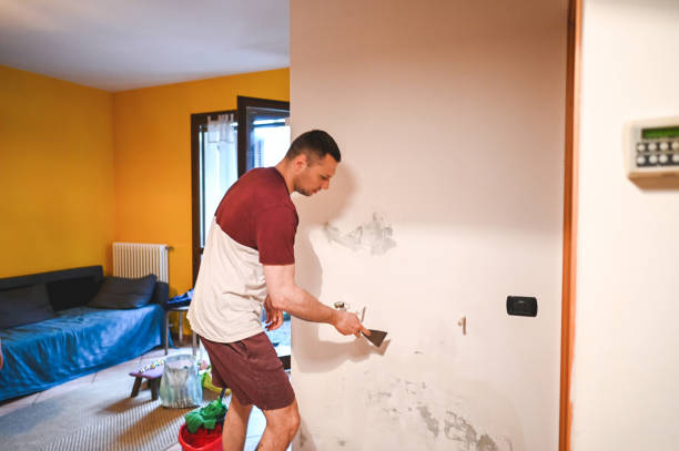 Best Residential Mold Remediation in Cashton, WI