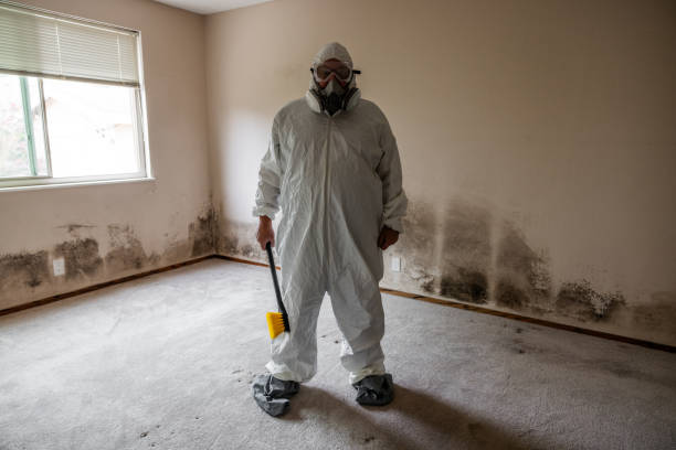 Best Mold Testing and Inspection Services in Cashton, WI